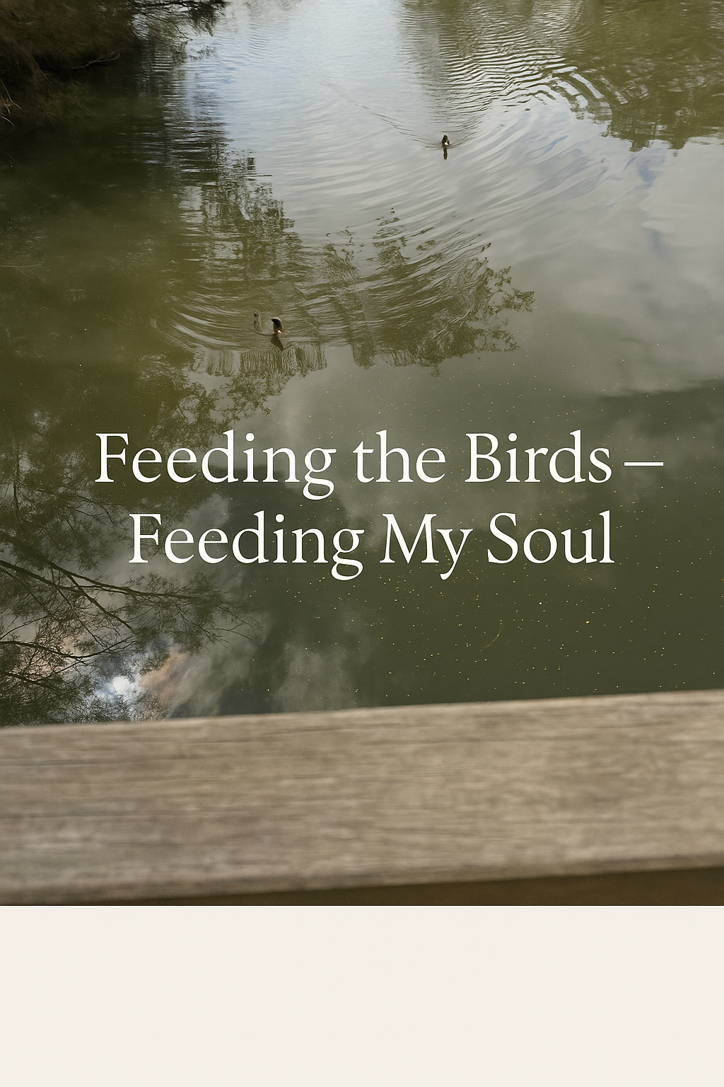 🌸 Feeding the Birds — Feeding My Soul
